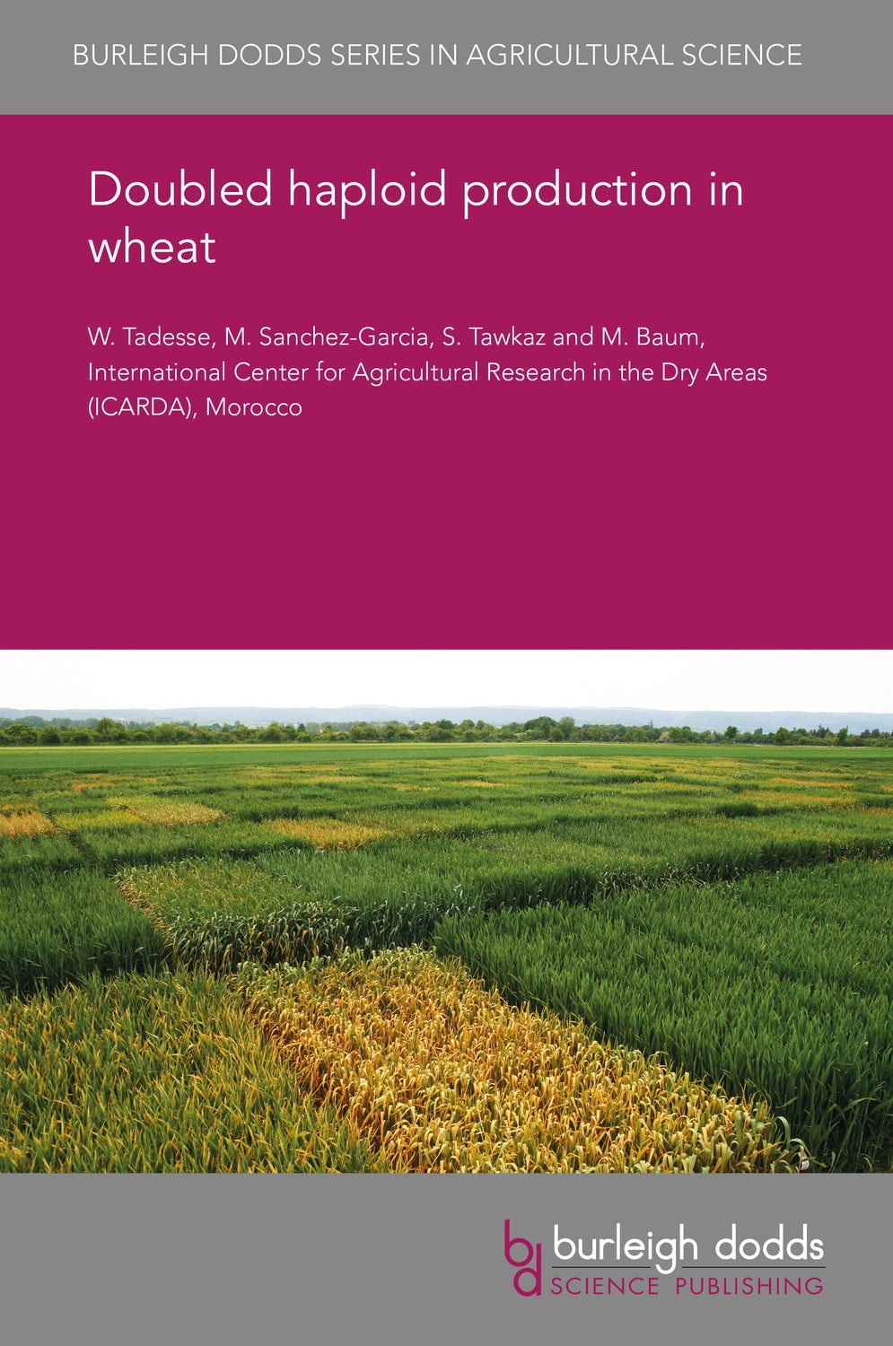Book cover image for Doubled haploid production in wheat ISBN: 9781838798222